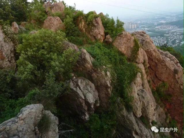 这牛头山在杨汛桥镇镇口,南屏一山,岭平而长,东西横贯,而趋西略高,至