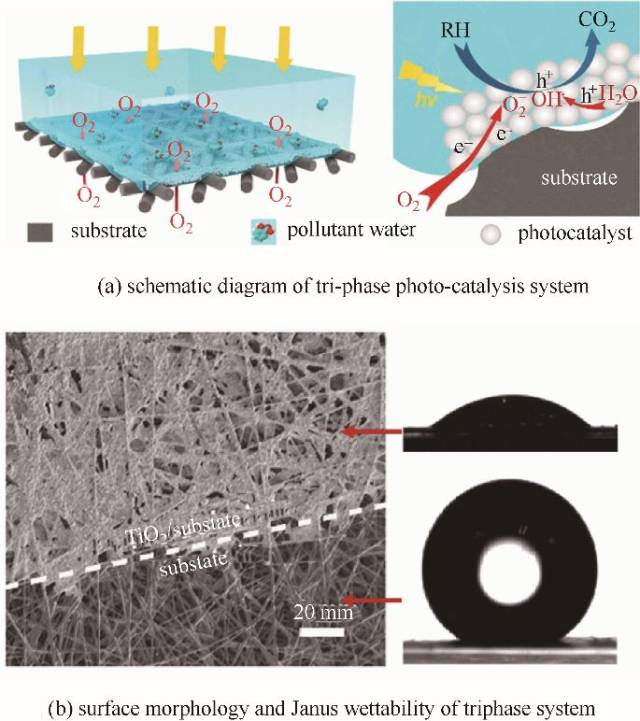 【2018年11期】仿生特殊浸润性界面在化学工程与工艺中的应用