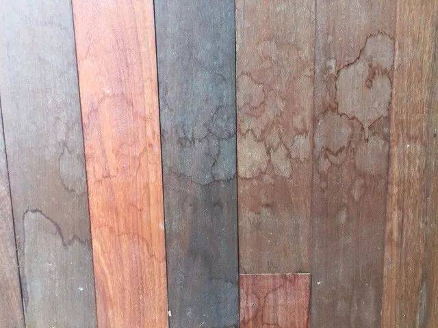 CITES18εԼὨѪ̴븽¼II ӡ̴ľ