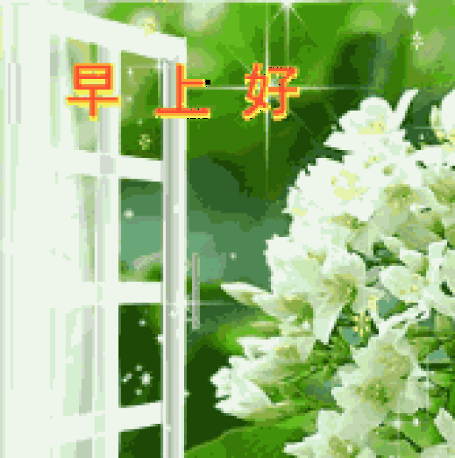 早上好,最全的2019早上好表情图片送给你!请查收!