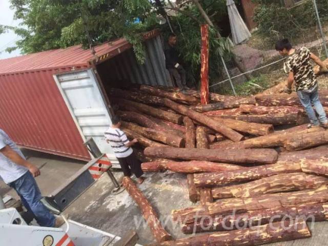 CITES第18次缔约方大会建议血檀进入附录II; 印度紫檀木拍卖期