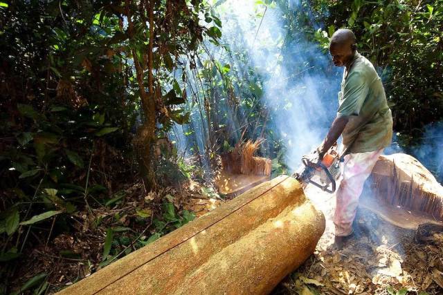 CITES18εԼὨѪ̴븽¼II ӡ̴ľ