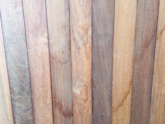 CITES18εԼὨѪ̴븽¼II ӡ̴ľ