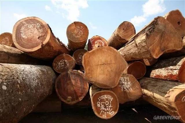 CITES18εԼὨѪ̴븽¼II ӡ̴ľ