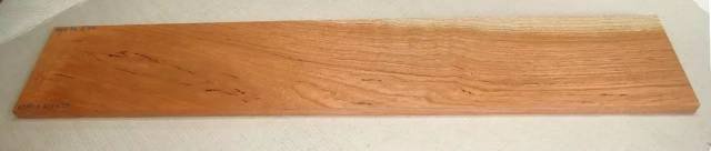 CITES18εԼὨѪ̴븽¼II ӡ̴ľ