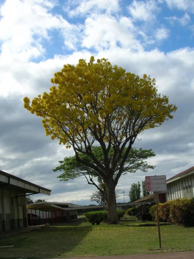 CITES18εԼὨѪ̴븽¼II ӡ̴ľ