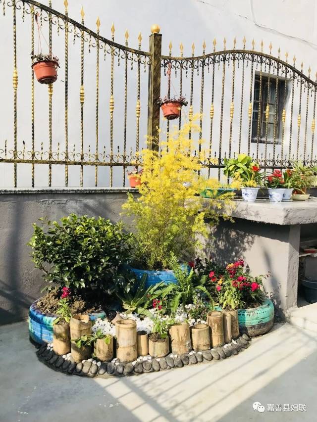 【美丽庭院】这如画般的风景,让人流连忘返(三)