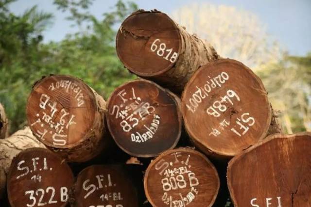 CITES18εԼὨѪ̴븽¼II ӡ̴ľ