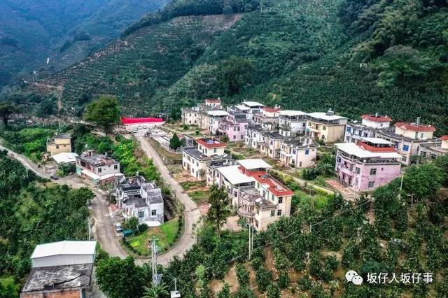 《经济日报》坂仔西坑村:建设"花果山" 营造绿金库