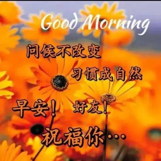 2019最新版群发早上好表情动态图片 2019最美早安问候
