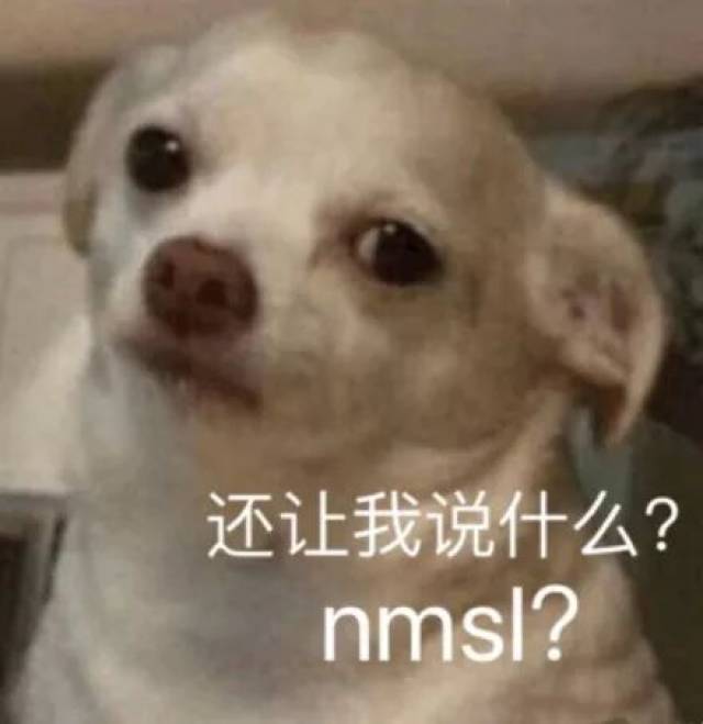 两开花熊猫头更新 期末考试焦头烂额表情包