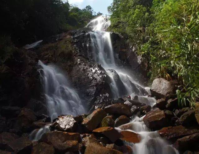 地址:佛山市高明区更合镇合水香山林场