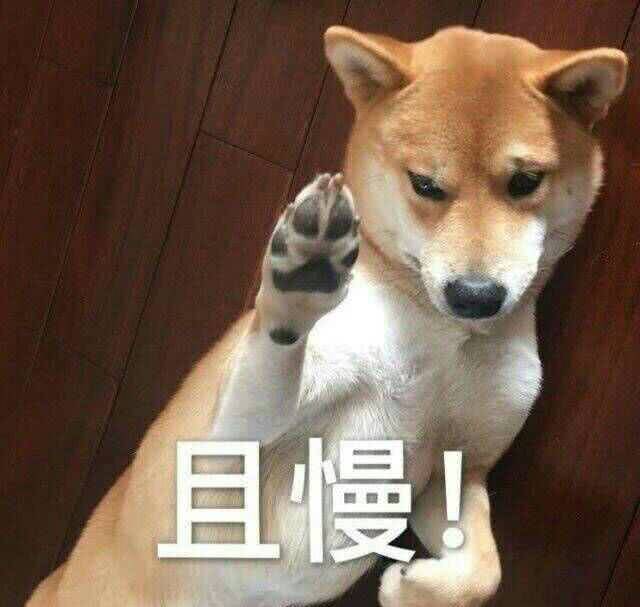 表情包:如何与白痴共处?