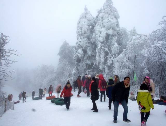 达一米左右,每到这时 峨眉山 就迎来了滑雪季,雷洞坪滑雪场沸腾如火