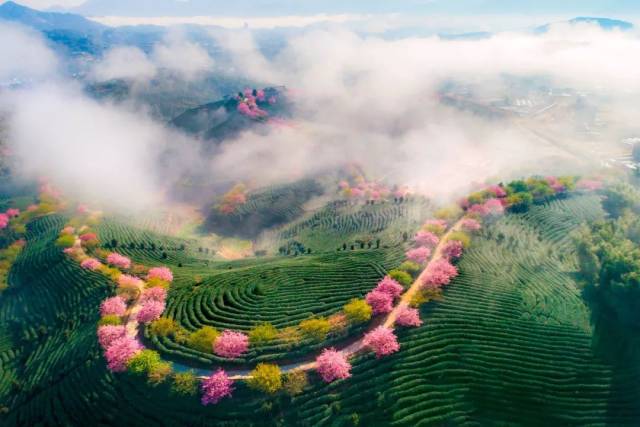 △航拍永福樱花园 图虫