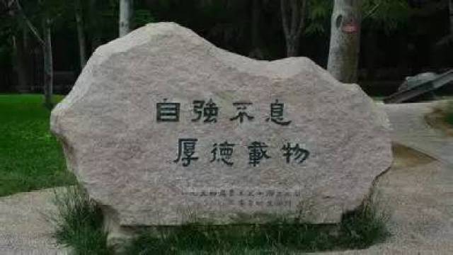 廪ѧ2019ݽ: ܶΪ, ʵ