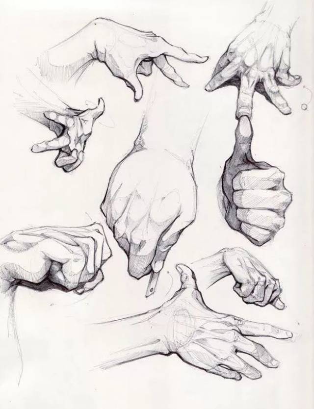 再画出手指结构 手臂技法 男性手臂肌肉结实,饱满,有力量 素描头像