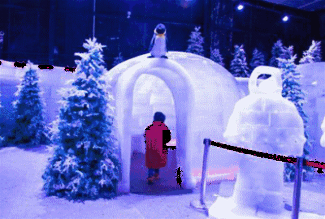 有憨态可掬的企鹅 晶莹剔透的雪屋 让你身临其境 感受冰河时代