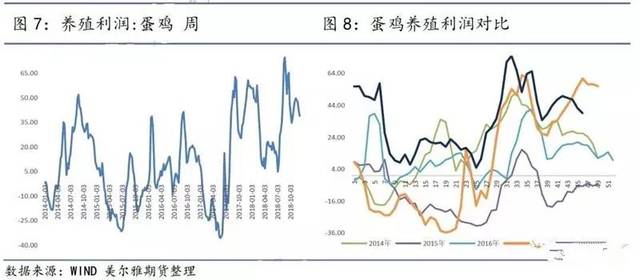 2019鸡蛋市场行情展望:环保减产与规模化投产的博弈