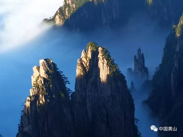 赏景游人——活力四射的独特风景