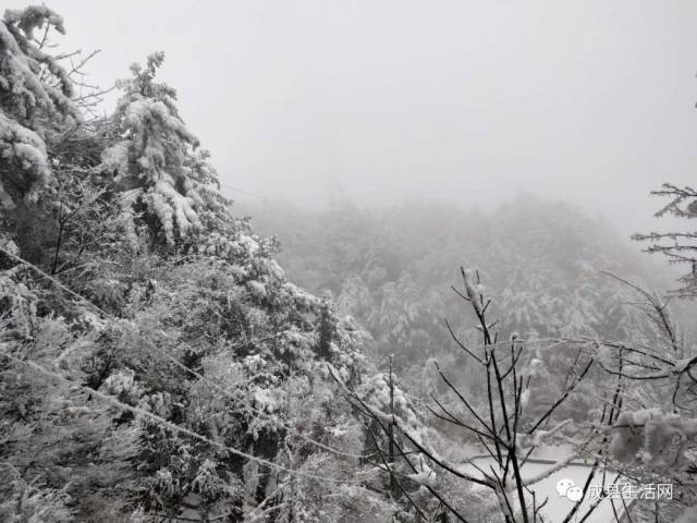 惊艳!陇南成县鸡峰山雪美景如画,神秘绝美的仙境!