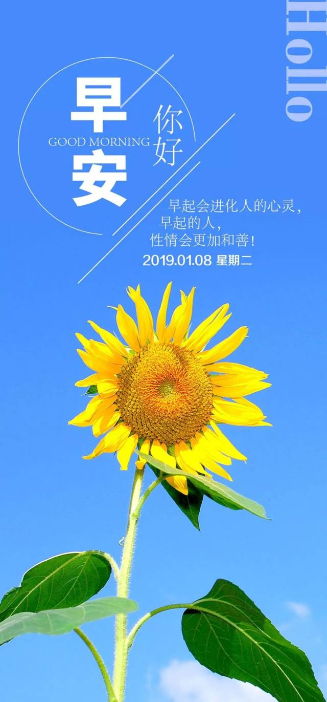 周二早安心语正能量句子 2019早上好图片正能量带字