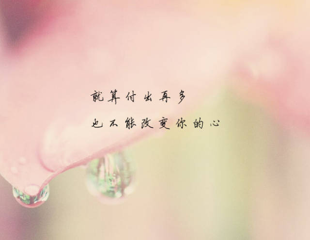 你苍白了我的等待,心酸了我的执着