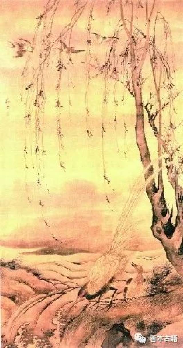 古诗中的“杨花”和“柳花”