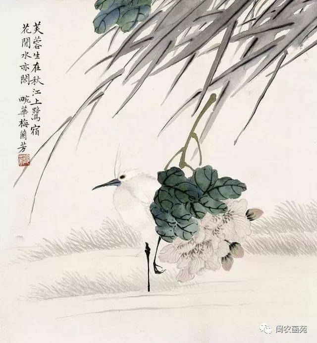 梅兰芳的花鸟画,绝无俗气!