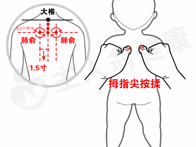 5寸【操作】揉后背肺俞部位至局部发热.
