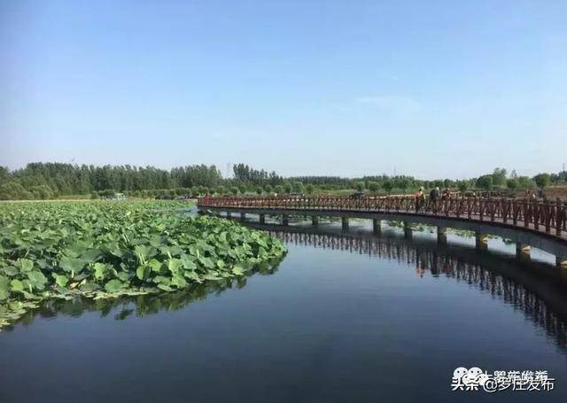 26亿!12个旅游项目给你一个"非来罗庄不可"的