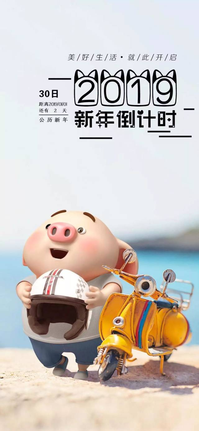 抖音网红小猪壁纸合集