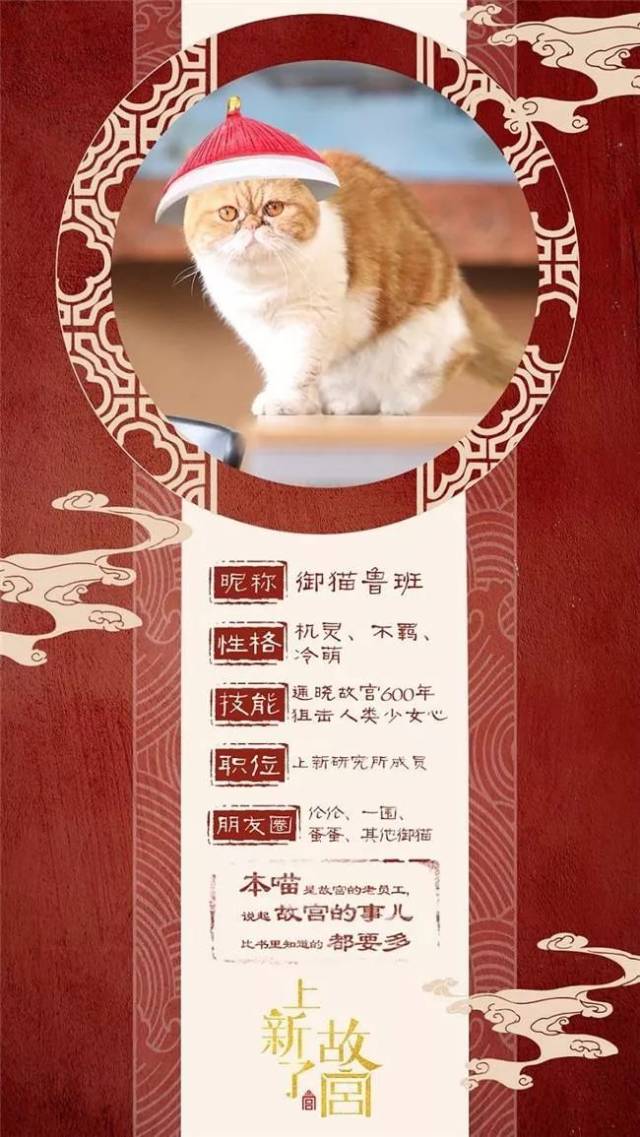 懿飞x星人说|走!我们去故宫吸御猫