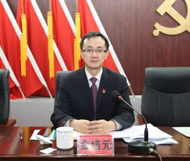 全会由区委常委会主持 区委书记高向阳代表区委常委会作工作报告并