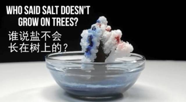 【科学大爆炸】5个关于盐的趣味小实验