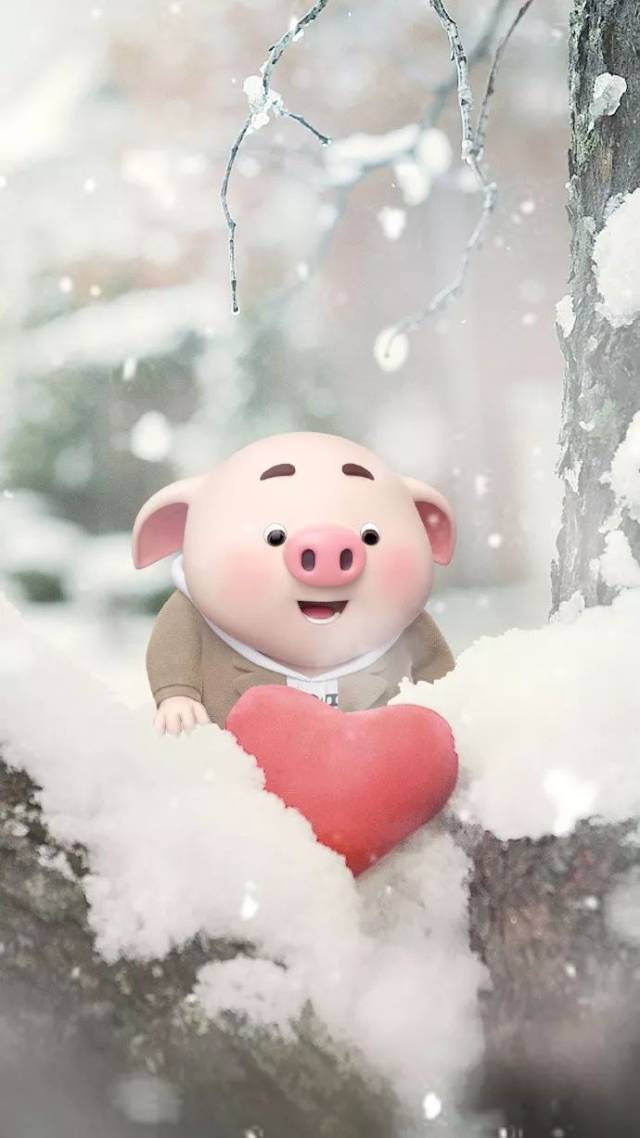 每日最美壁纸丨你见过这么可爱的小猪吗?