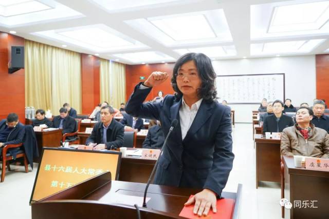 齐力任代理县长 桐庐县第十六届人大常委会第十五次会议表决通过人事