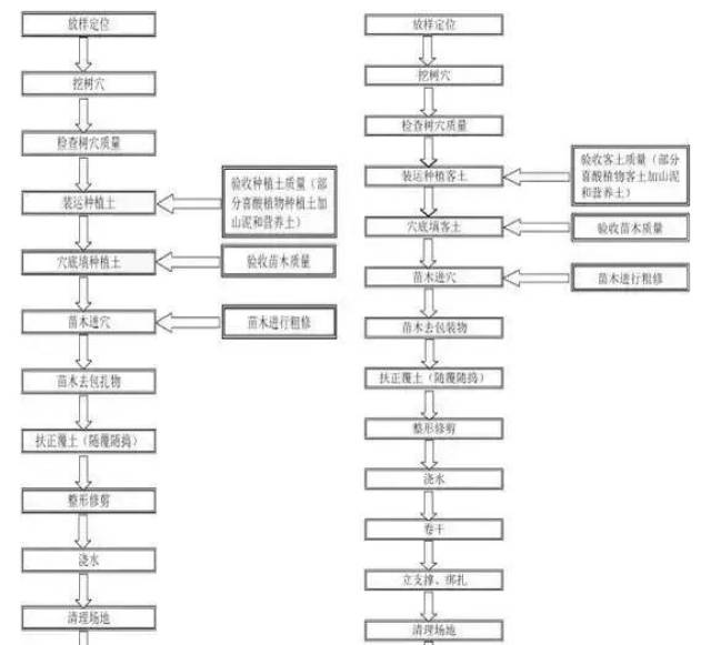 灌木色块种植工艺框图