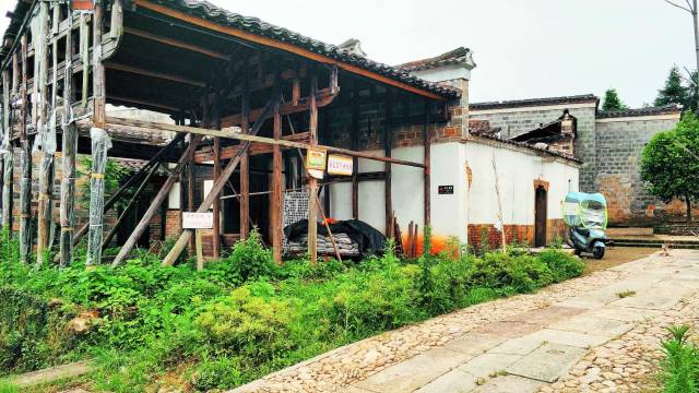 江西省抚州市金溪县左坊镇后龚村-一辆毛驴走抚州
