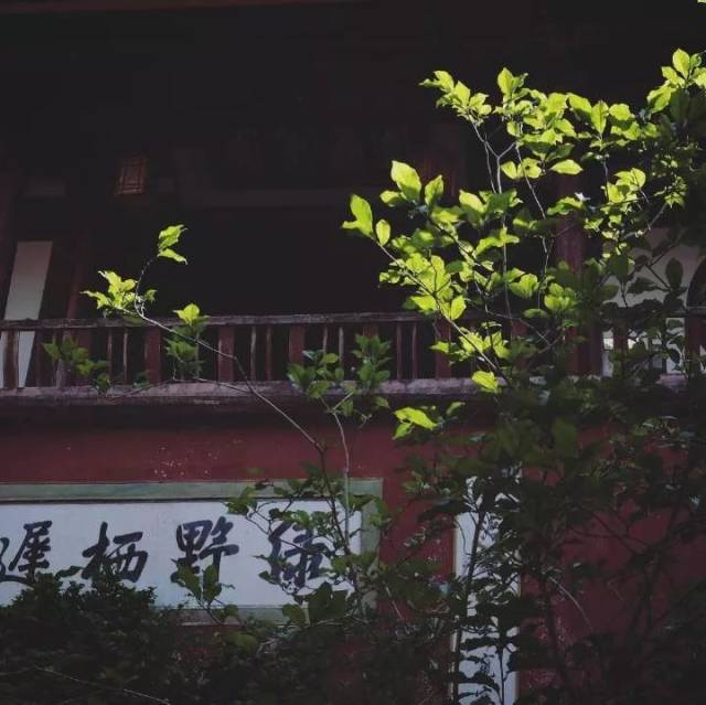 宁德深山里的这个千年古寺,见过的人都忘不了.