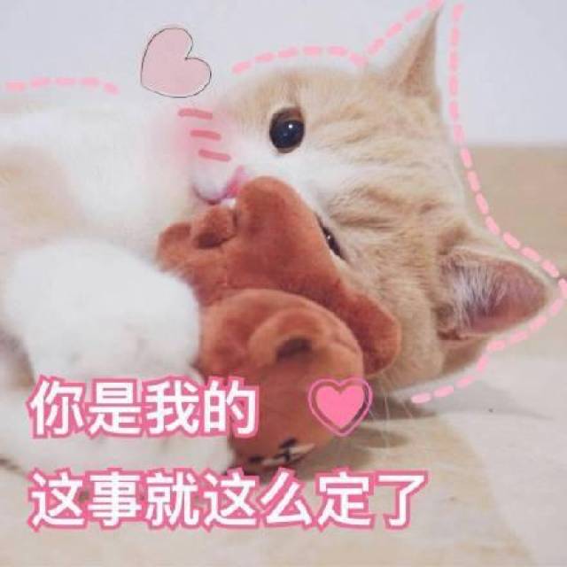 猫咪表情包撩老公系列:爱你呦,我好想你