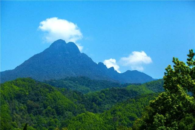 下面跟着海旅君一起来看看~ 海南最高山峰——五指山,被誉为"海南屋脊