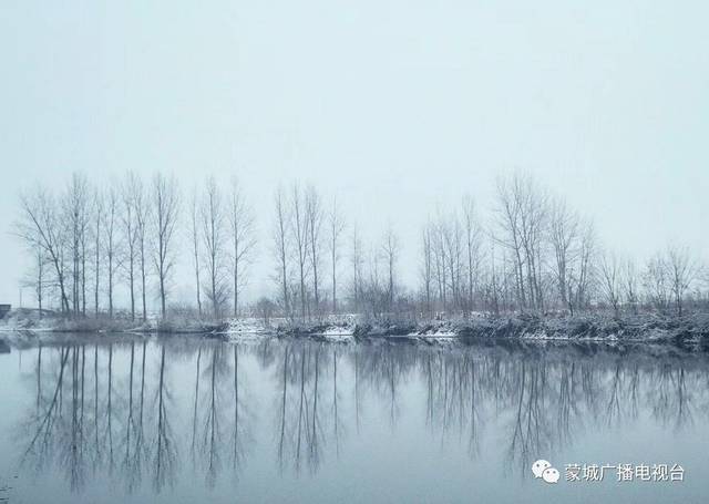 应似飞鸿踏雪泥