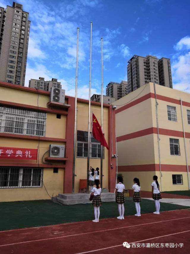 东枣园小学2019年教师招聘公告