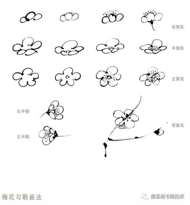 国画技法:写意梅花的画法