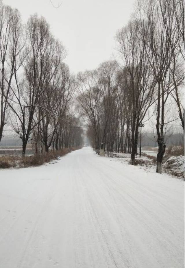 山西下雪了!最低-20°c 8天3场雪,最难熬的一个月来了!