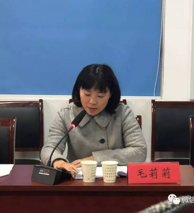 县妇联副主席毛莉莉发言