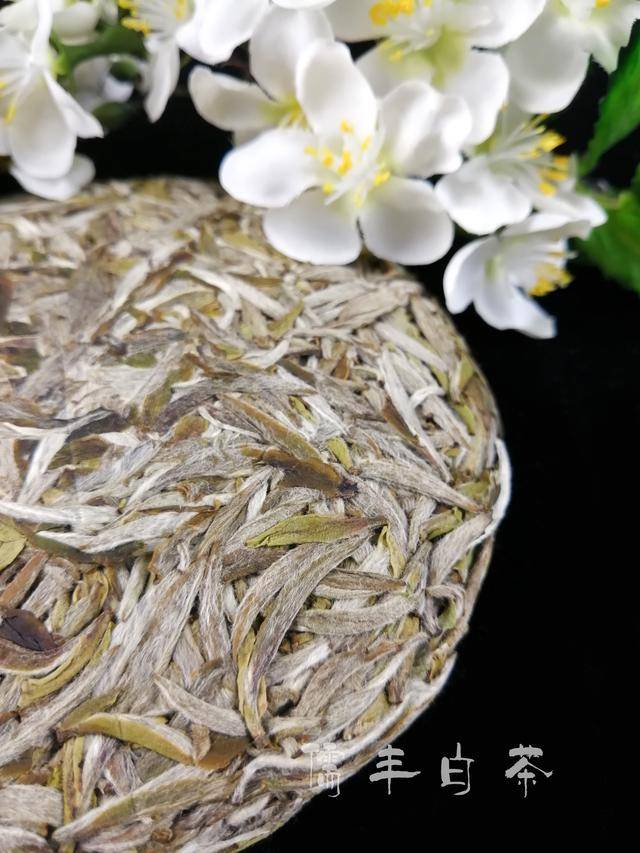 白茶饼里长"茶虫,还能喝吗?