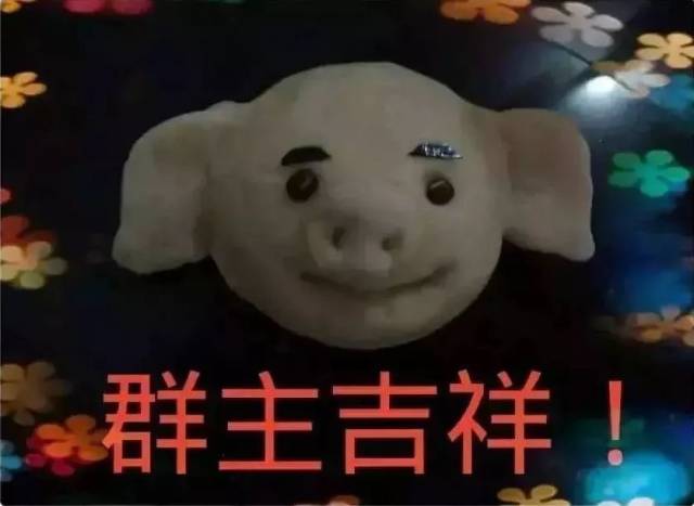 2019群主相册, 送给群主们! 笑喷了