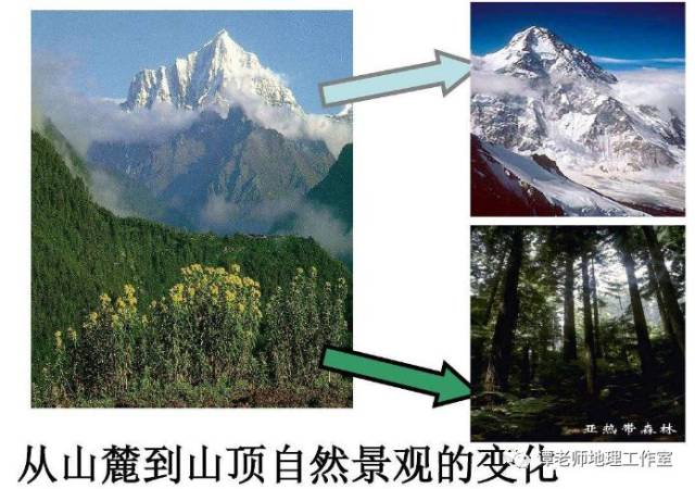 ②山麓的自然带与山地所在地的水平自然带(基带)一致,从山麓到山顶